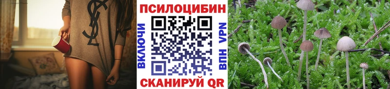 Псилоцибиновые грибы Cubensis  Купить где  Певек 